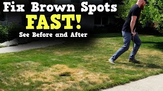 fix brown spots in grass!  2 Easy Steps.  brown grass to green grass