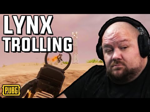 The Bobs Are Mean Lynx Machines - PUBG