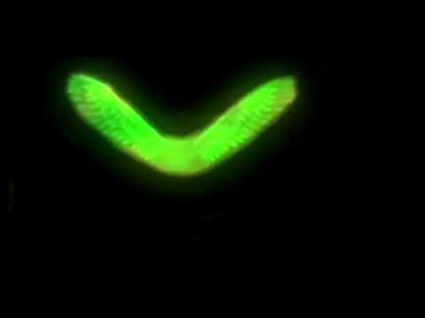 NBA2k23 green wings animation overlay