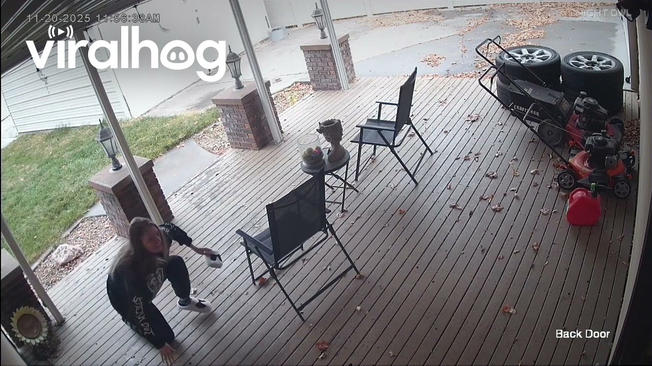 Wrecking Bean || ViralHog