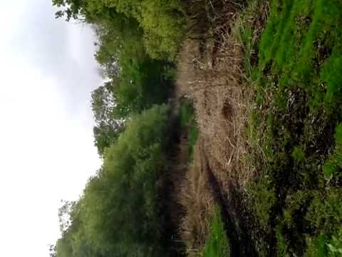 blaster 200 jaime y javier 2