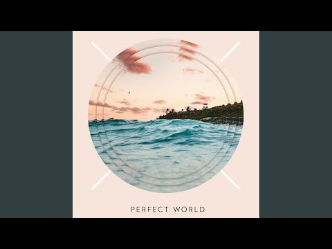 Perfect World