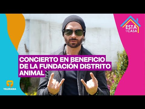 Concierto en beneficio de la fundación Distrito Animal