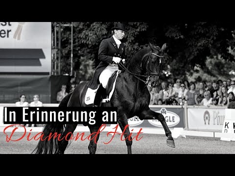 Erinnerungen an Diamond Hit ✨ | Seine Verabschiedung aus dem Sport | OLD Hengsttage Vechta