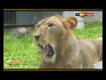 jeevithaya-sirasa-tv-31-08-2018
