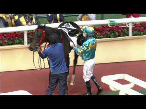 2020/21 (251) - Incanto Prepared (追風驥足) - 莫雷拉