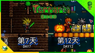 Terraria 泰拉瑞亚 第7—12天 血月，骷髅的陷阱   (全字幕)