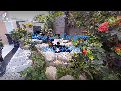 Hồ cá khách hàng làm lại lần thứ 4 sau 2 năm. Luôn cập nhập Hot Trend.