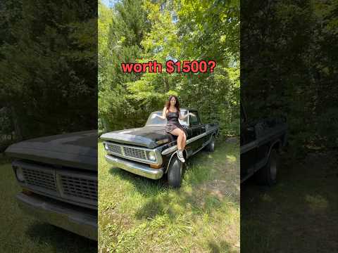 Did I Waste $$ on this Ford F100?