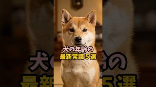犬の年齢の最新常識#犬の豆知識#のいる生活 #犬の気持ち#犬 #shorts