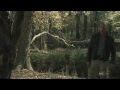 Tree Hug