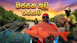 NO NET… JUST A TRAP 😲| බස්සන කූඩු රස්සව | THEY TRAPPED THEM! 🎣🔥