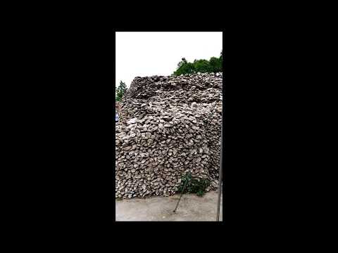 Description de la vidéo