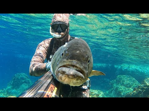 Spearfishing 1,2,3 2022.