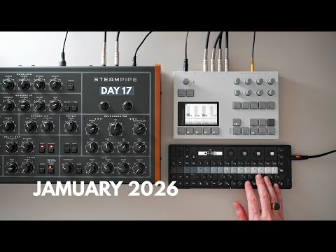 Erica Synths Steampipe + Torso S4 // DAY 17 #jamuary2026