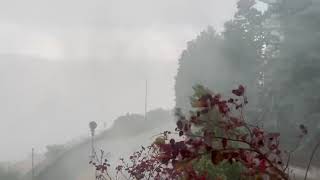 temporale-e-grandine-agricoltura-flagellata-in-pochi-minuti