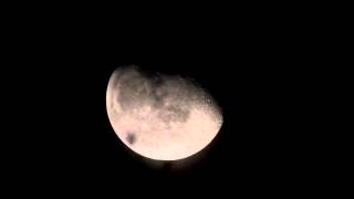 Junior Wells Buddy Guy "We're Ready"