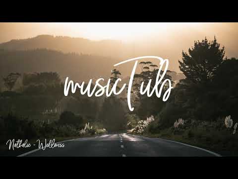 Nathalie - Wellmess feat. Steven Ellis [2000s Rock Music]