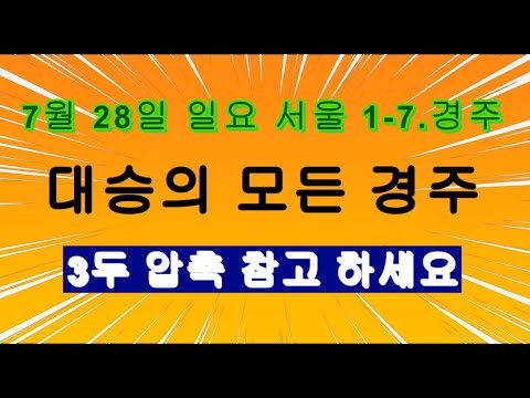 7/28-일요 신대승 모든경마-
