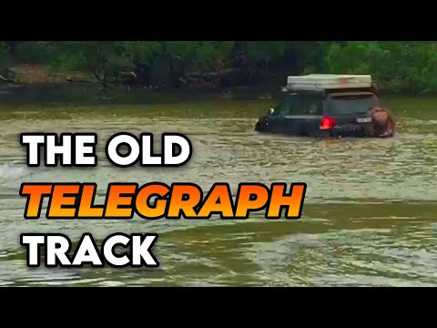 The Old Telegraph Track | Jardine River | The Israeli Crocodile Dundee