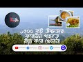 ফুরোমন পাহাড়ে রান্না করে খেলাম । furomown hills rangamati the ranger