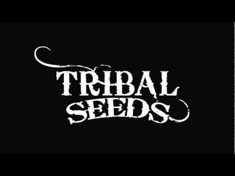 Youth Of The World lyrics