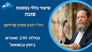 שיעור כללי | נטילת לולב ואתרוג בימין ובשמאל | רה"י הרב אהרן פרידמן (ישיבת כרם ביבנה) - התמונה מוצגת ישירות מתוך אתר האינטרנט יוטיוב. זכויות היוצרים בתמונה שייכות ליוצרה. קישור קרדיט למקור התוכן נמצא בתוך דף הסרטון