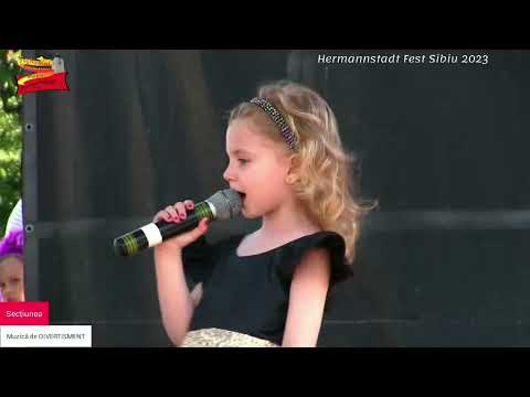 Concurs Secțiunea DIVERTISMENT. Hermannstadtfest 2023