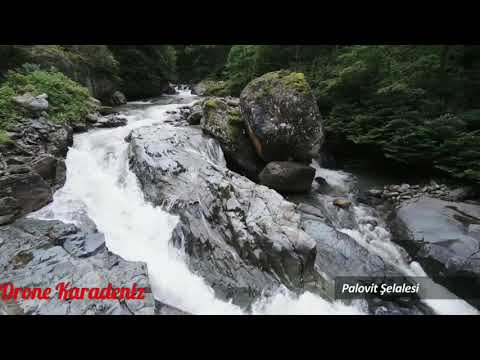 Bizim Gönül ( Taş yürekli)