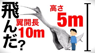 【衝撃】歴史上最大級の空飛ぶ生物 ケツァルコアトルスを描く