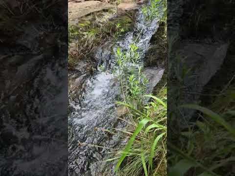 Rio cilada jaguariaiva Pr.