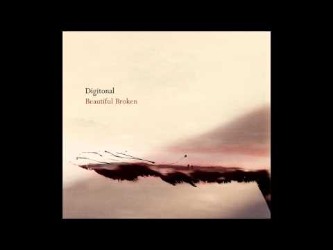 Digitonal - It Doesn't Matter