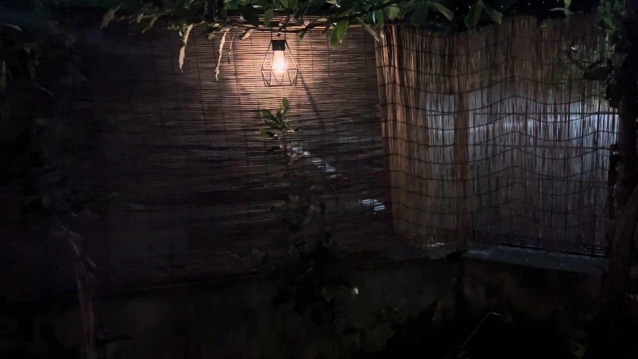 尋常じゃないスズムシの大合唱