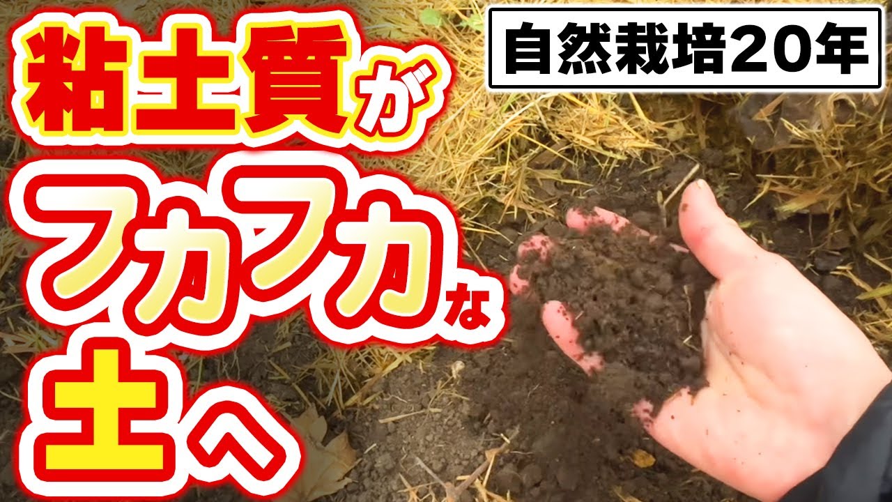 14年連作で粘土質がフカフカの土に