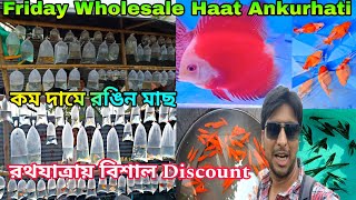 Ankurhati Pet Market | Howrah Aquarium Fish Haat | Pet Shop Near Me | Farm Fishery | Pet Market