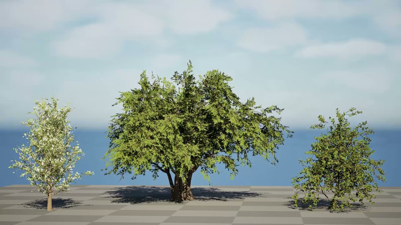 Collezione di peri britannici di Plymouth Modello 3D