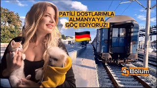 KÖPEĞİM VE KEDİMLE TEK BAŞIMA ALMANYA'YA TAŞINIYORUM! BÖLÜM 4 -OPTIMA EXPRESS