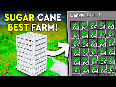 Minecraft BEST SUGAR CANE FARM 1.21 - Java & Bedrock - 5000+ PER/HR!