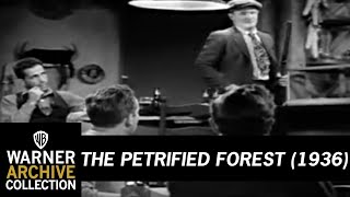 The Petrified Forest (1936) Video