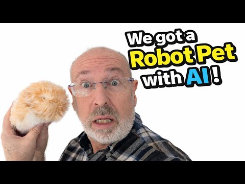 Moflin Review Video 3