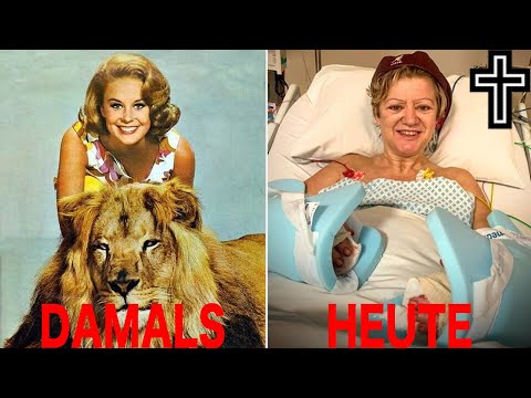 Die Besetzung von Daktari (1966): DAMALS UND HEUTE ✝️ Nur ein Schauspieler lebt noch