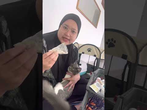 Shopping Haul barang kucing❗️wajib tengok yang mana newbie 😅