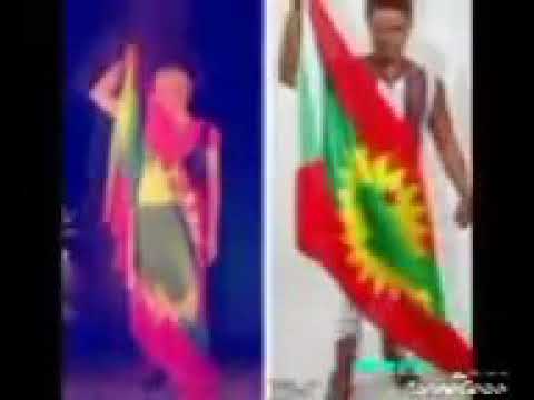 Halloo daawwe by obsi ulee hayyuu ta'u dagatini