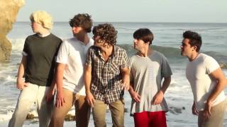 One Direction   What Makes You Beautiful PARODY By Bart Baker
