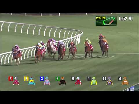 19/1/2022 (353) Winning Method- Matthew Chadwick