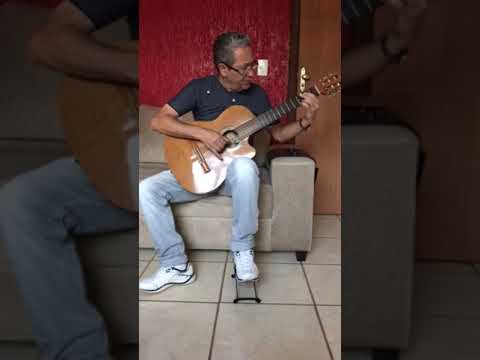 Meus três cachorros João José cover