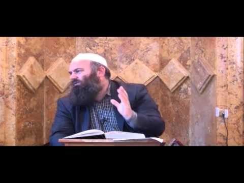 Muslimani është optimist - Hoxhë Bekir Halimi