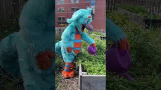 Pip tends the garden