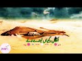 Sad Punjabi Sufi Status Mood Off Status Dard Bhare Status Poetry Ishqqalandar
