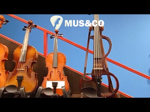 Скрипачка и электроскрипка FOIX HVE/HVE 06H